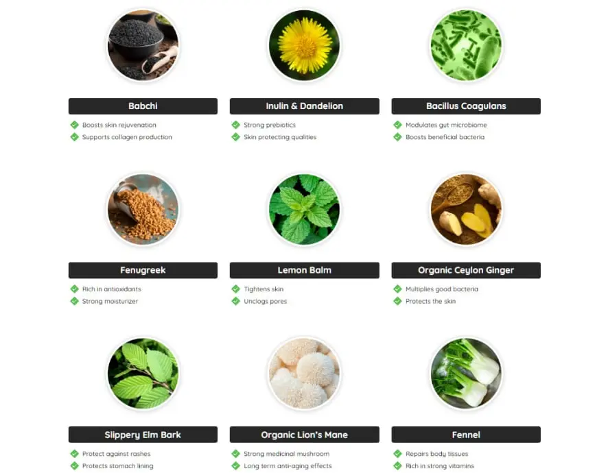 neotonics supplement